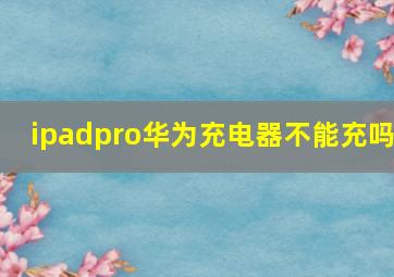 ipadpro华为充电器不能充吗