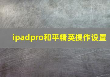 ipadpro和平精英操作设置