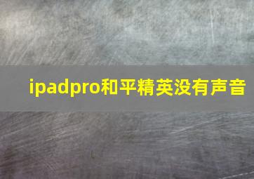 ipadpro和平精英没有声音