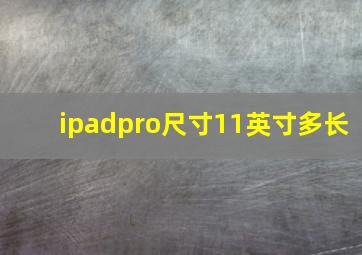 ipadpro尺寸11英寸多长