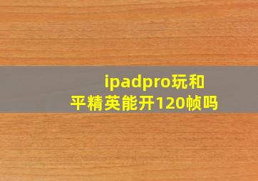 ipadpro玩和平精英能开120帧吗