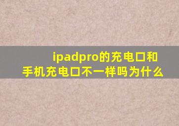 ipadpro的充电口和手机充电口不一样吗为什么