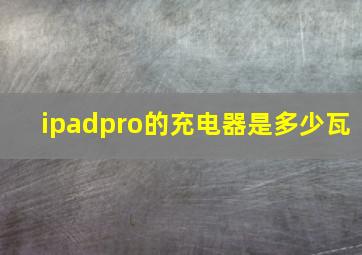 ipadpro的充电器是多少瓦