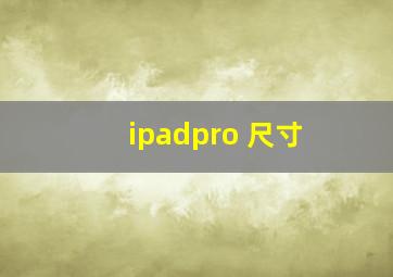 ipadpro 尺寸