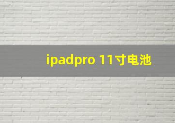 ipadpro 11寸电池