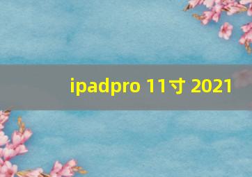 ipadpro 11寸 2021