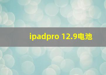 ipadpro 12.9电池