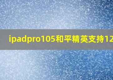 ipadpro105和平精英支持120吗