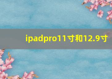 ipadpro11寸和12.9寸