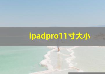 ipadpro11寸大小