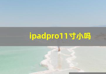 ipadpro11寸小吗