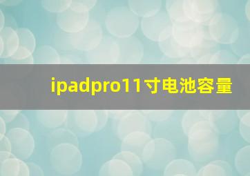 ipadpro11寸电池容量