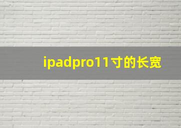 ipadpro11寸的长宽