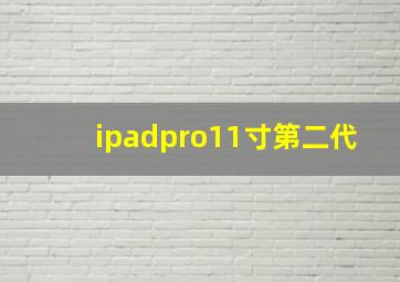 ipadpro11寸第二代