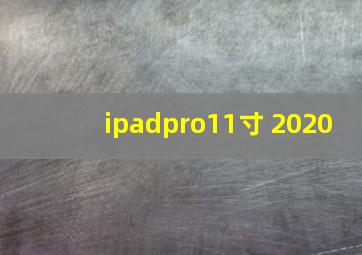 ipadpro11寸 2020