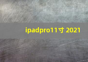 ipadpro11寸 2021