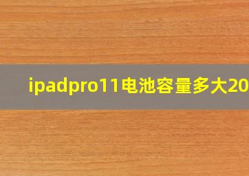 ipadpro11电池容量多大2022