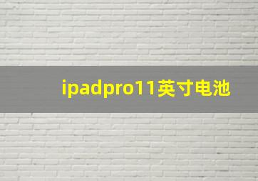 ipadpro11英寸电池