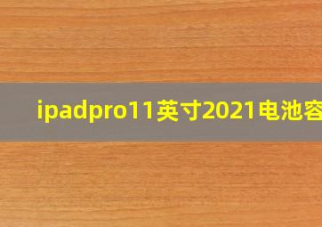 ipadpro11英寸2021电池容量