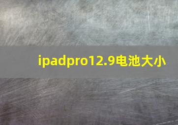 ipadpro12.9电池大小