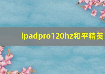 ipadpro120hz和平精英