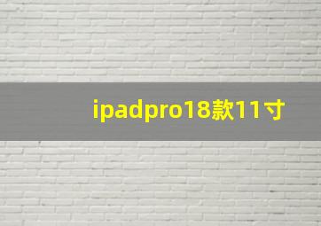 ipadpro18款11寸