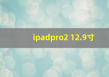 ipadpro2 12.9寸