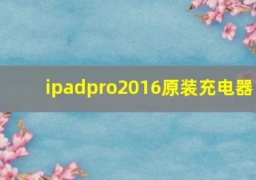 ipadpro2016原装充电器