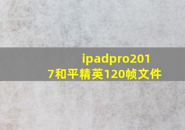 ipadpro2017和平精英120帧文件