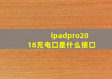 ipadpro2018充电口是什么接口