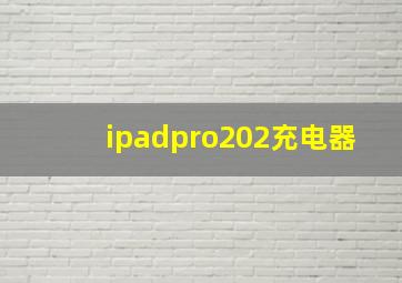 ipadpro202充电器