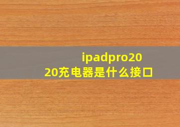 ipadpro2020充电器是什么接口