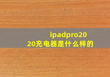 ipadpro2020充电器是什么样的