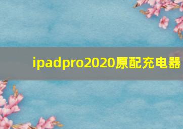 ipadpro2020原配充电器