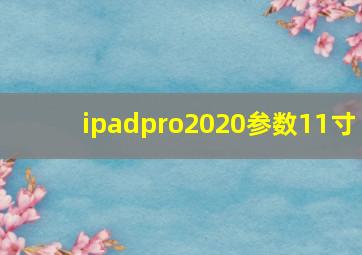 ipadpro2020参数11寸