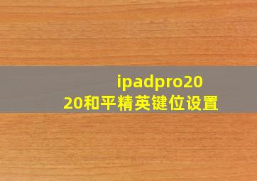 ipadpro2020和平精英键位设置