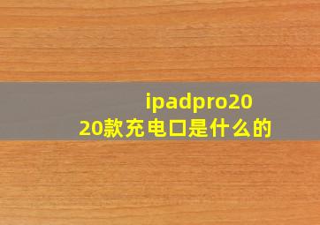 ipadpro2020款充电口是什么的