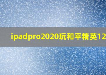 ipadpro2020玩和平精英120帧