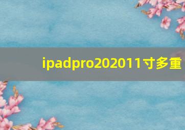 ipadpro202011寸多重