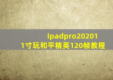 ipadpro202011寸玩和平精英120帧教程