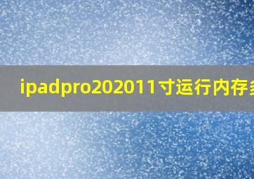 ipadpro202011寸运行内存多大