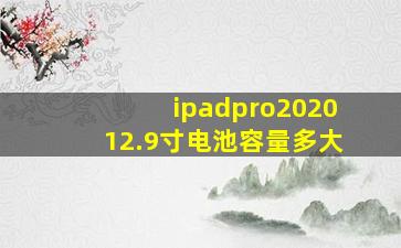 ipadpro202012.9寸电池容量多大