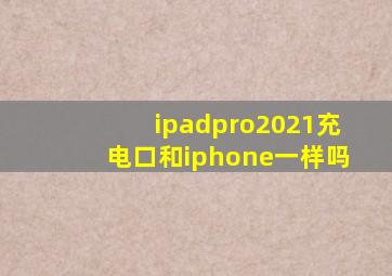 ipadpro2021充电口和iphone一样吗