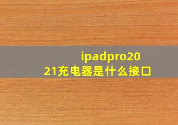 ipadpro2021充电器是什么接口