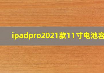 ipadpro2021款11寸电池容量