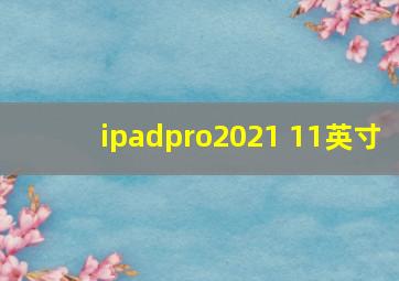 ipadpro2021 11英寸