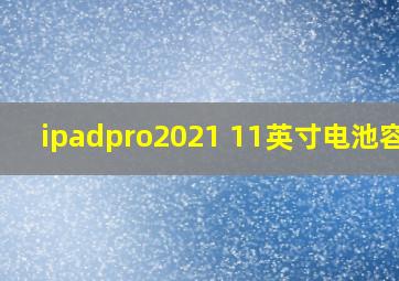 ipadpro2021 11英寸电池容量