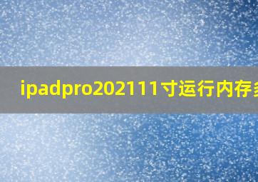 ipadpro202111寸运行内存多大