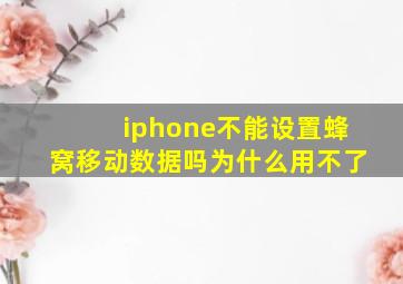 iphone不能设置蜂窝移动数据吗为什么用不了