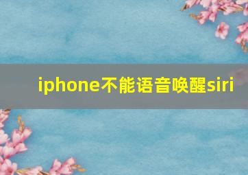 iphone不能语音唤醒siri